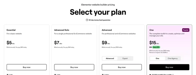 Elementor pricing page showing Essential, Advanced Solo, Advanced and One plans
