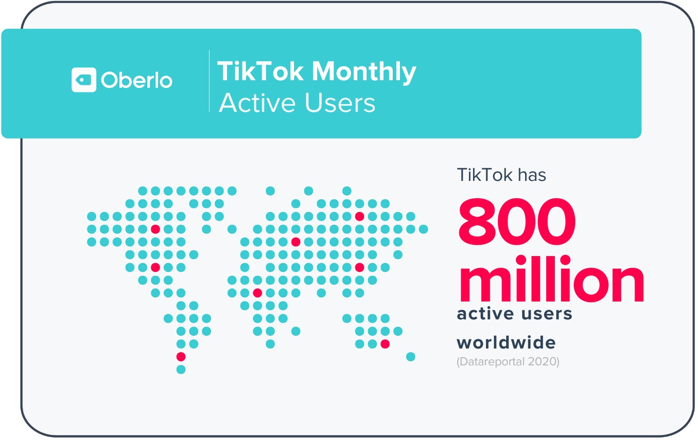 TikTok audience analytics