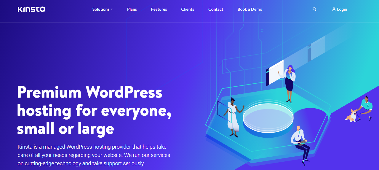 kinsta-homepage