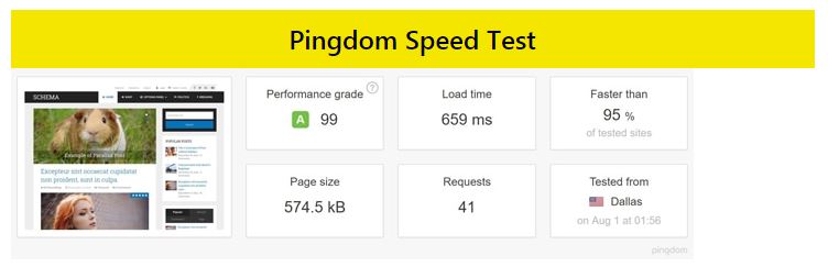 schema-wordpress-theme-review-speed-test