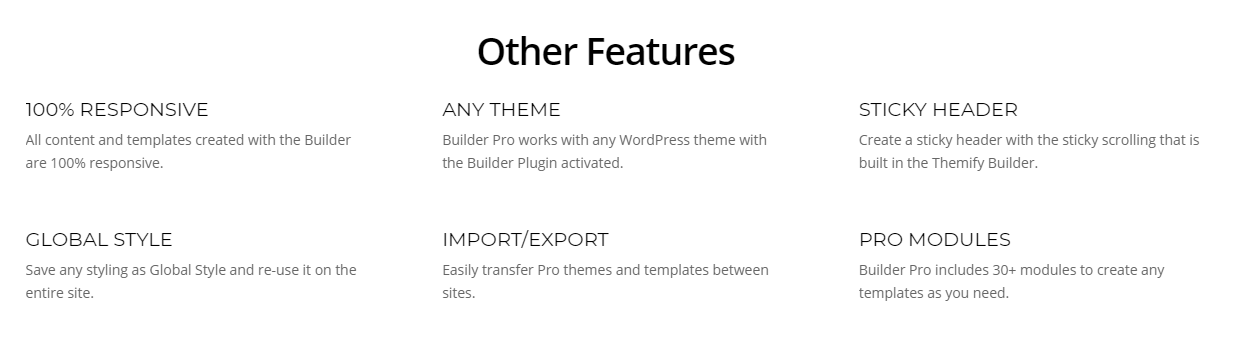 themify-builder-info
