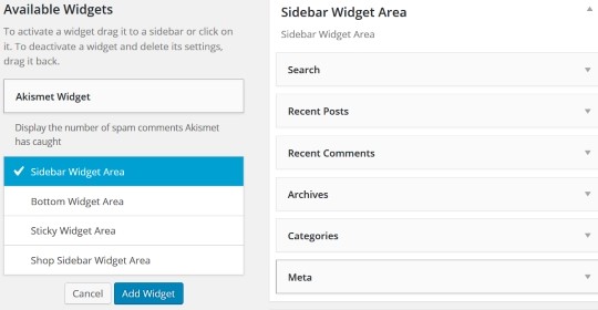 WordPress Widgets Options