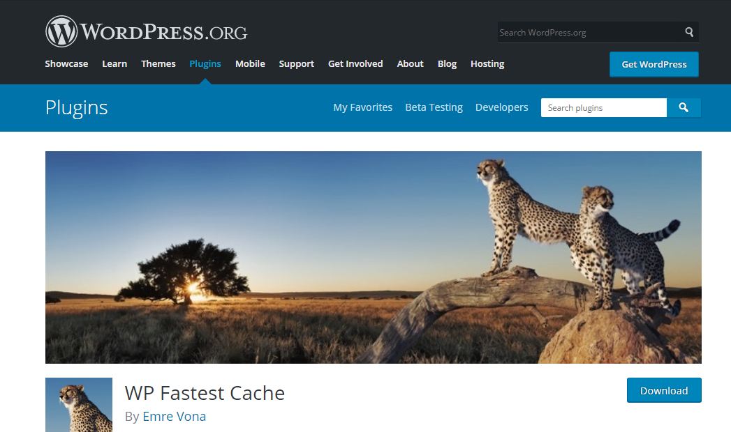 wp-fastest-cache